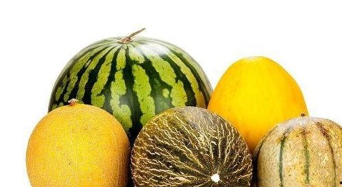 赞美吃瓜的好处,品味生活之美——探寻吃瓜的五大益处