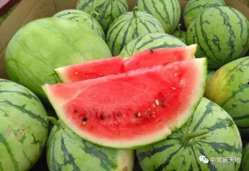 满甜吃瓜,揭秘娱乐圈那些不为人知的幕后故事