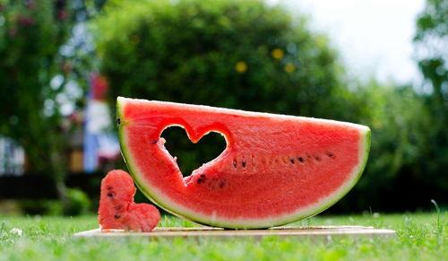 带你吃瓜诗词,带你领略“吃瓜”诗词中的趣味人生